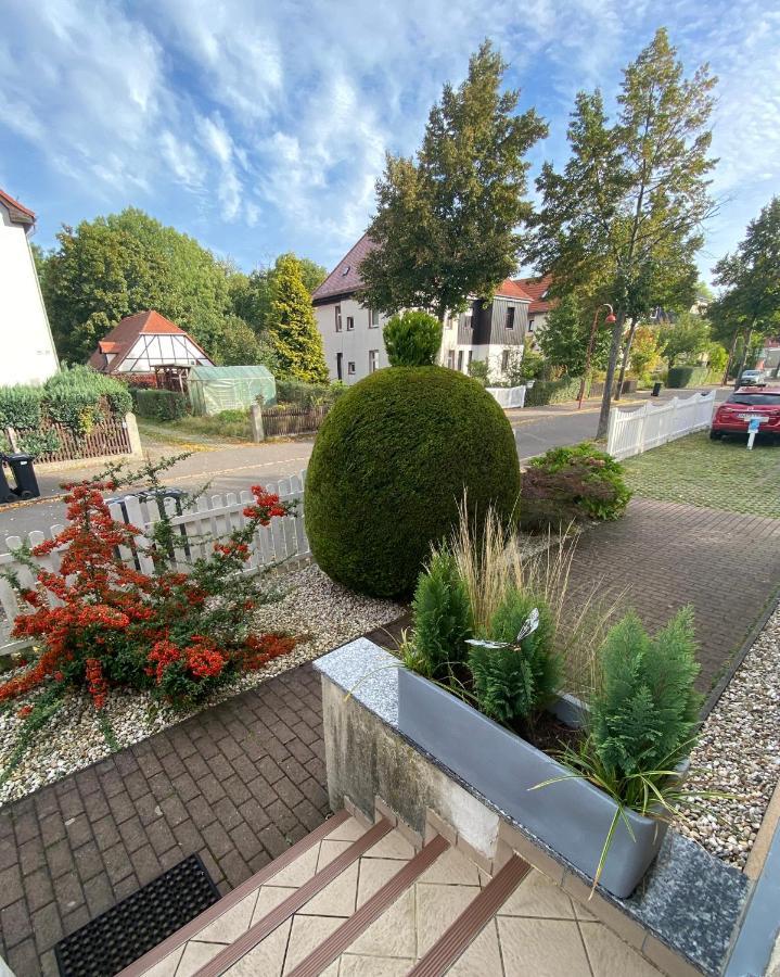 Simply Nice Appartment Борна Экстерьер фото